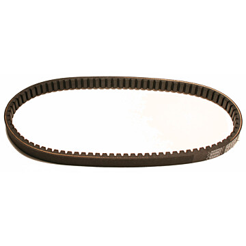 203593A - Belt for 30 Series. 31-15/64" OC.