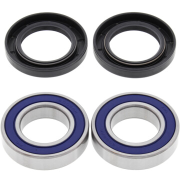 Rear Wheel Bearing & Seal Kit