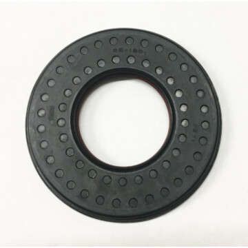 501851 - Oil Seal (40X80/84X7/9)