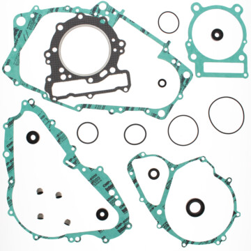 811853 - Bombardier ATV Gasket Set with oil Seals for 650 4-cycle DS.