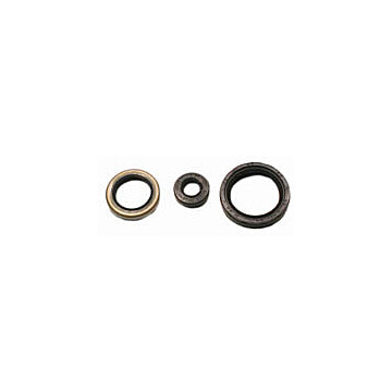 822143 - Polaris ATV 4 cycle Oil Seal Set