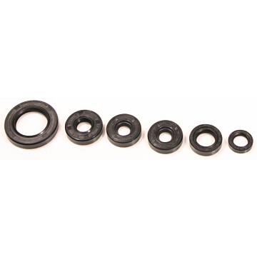 822203 - Bombardier ATV Oil Seal Set