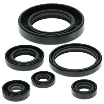 822204 - Bombardier ATV Oil Seal Set