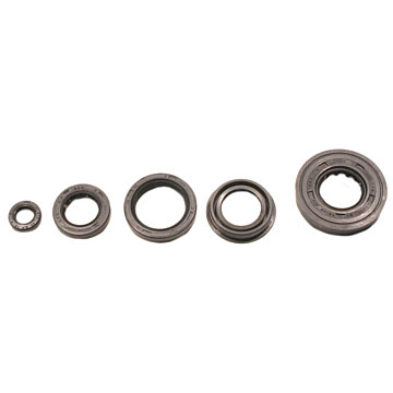 822217 - Arctic Cat ATV Oil Seal Set